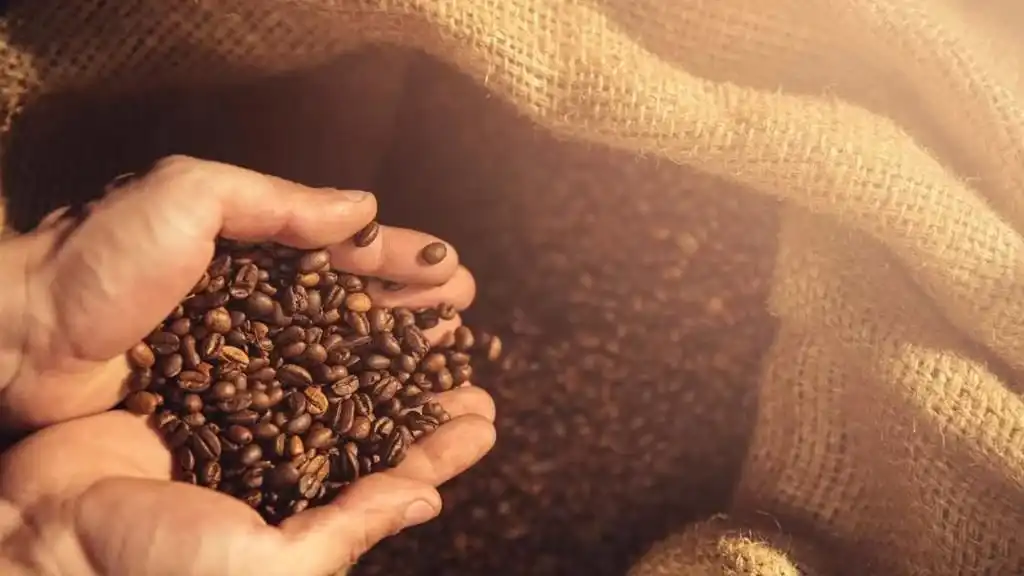 Sustainable Coffee Production