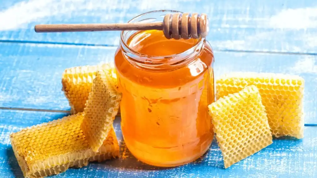 Honey and Beekeeping