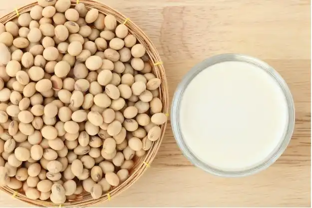 The Treasures of Soy Bean Milk