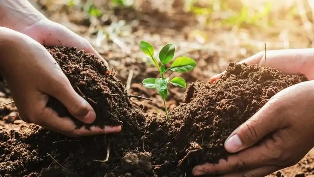 Sustainable Farming